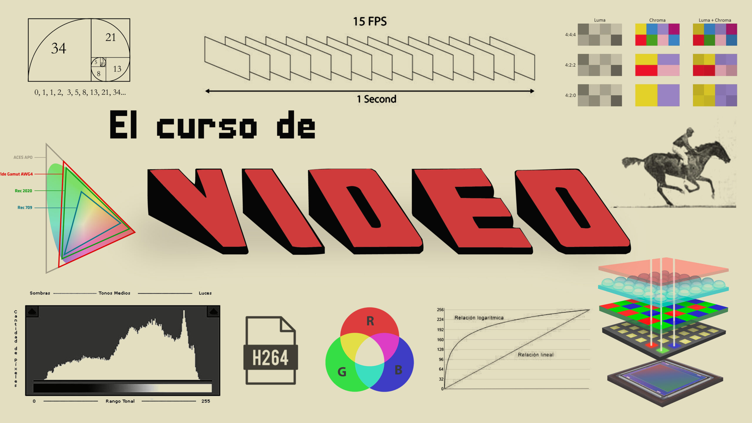 CURSO Aprende TODO sobre VIDEO
