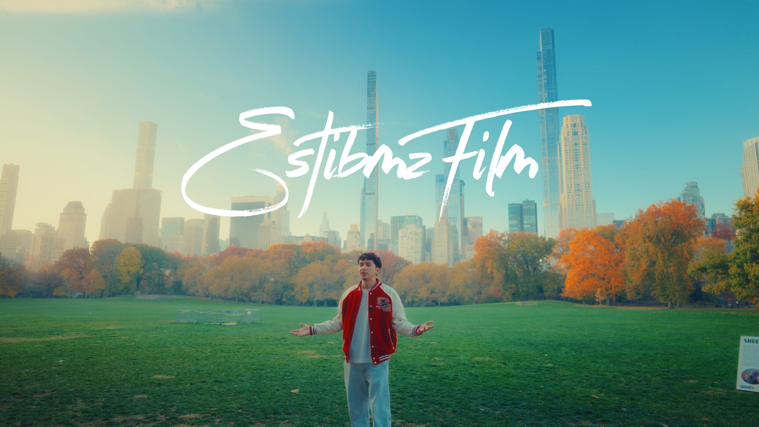 estibmzFilm Davinci Powergrade + Lut